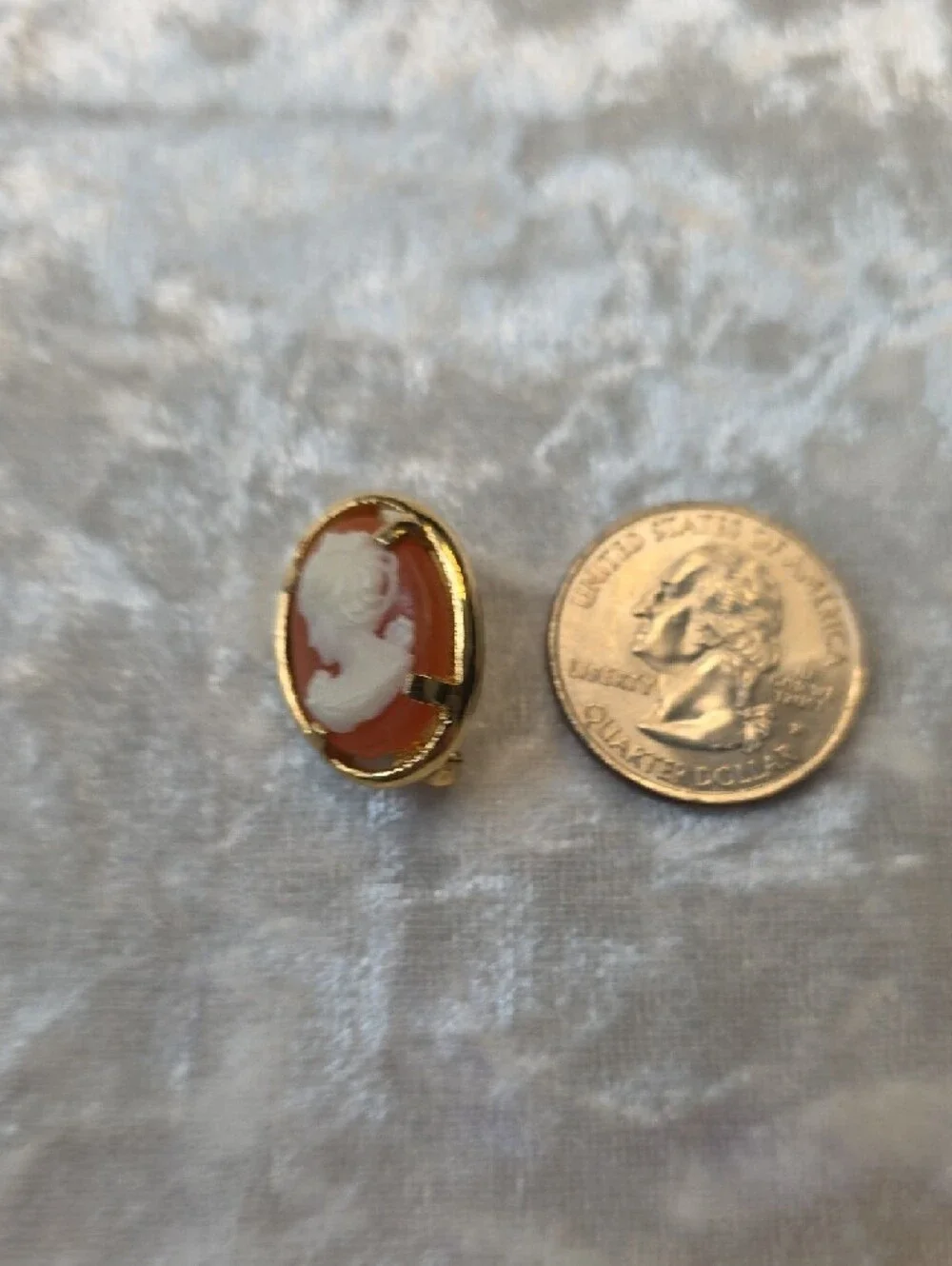Napier Signed Vintage Gold-Tone Coral and White Cameo Brooch